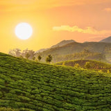 英國 Birchall 英式早餐茶包 (25 bags)